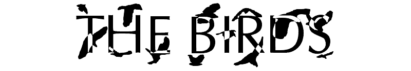 The Birds Font